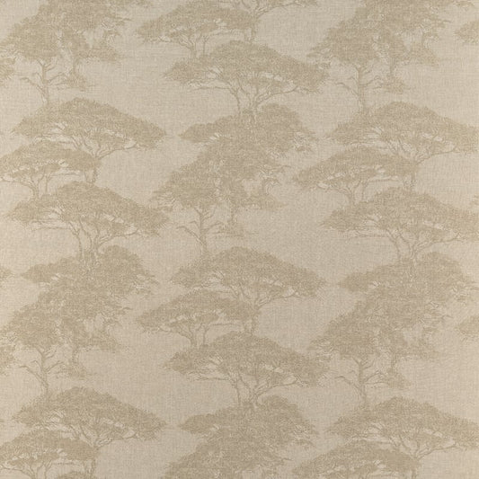 F924436 Thibaut Champagne Fabric