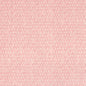 F942001 Thibaut Blush Fabric