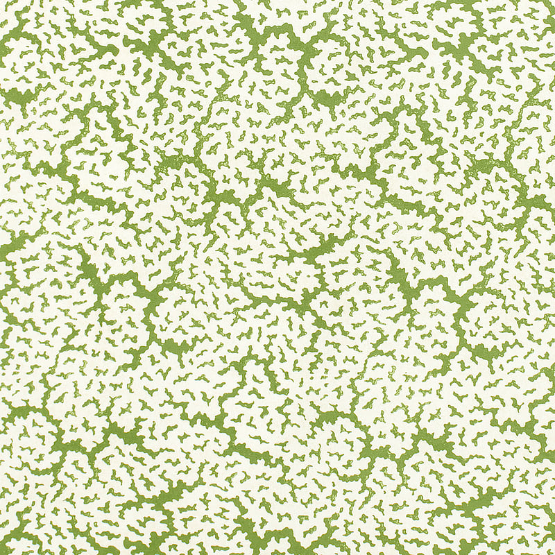 F942041 Thibaut Green Fabric