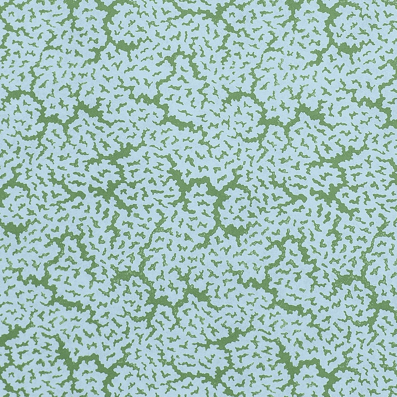 F942044 Thibaut Blue and Green Fabric