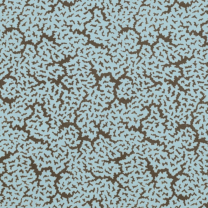 F942045 Thibaut Spa Blue and Brown Fabric