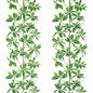 F945035 Thibaut Green and White Fabric