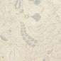 F972622 Thibaut Beige Fabric
