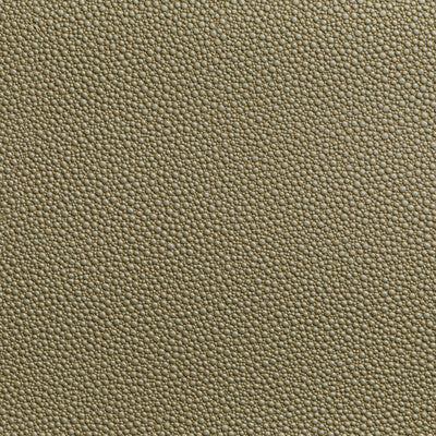 FETCH-16 FETCH RADIANT KRAVET CONTRACT UPHOLSTERY