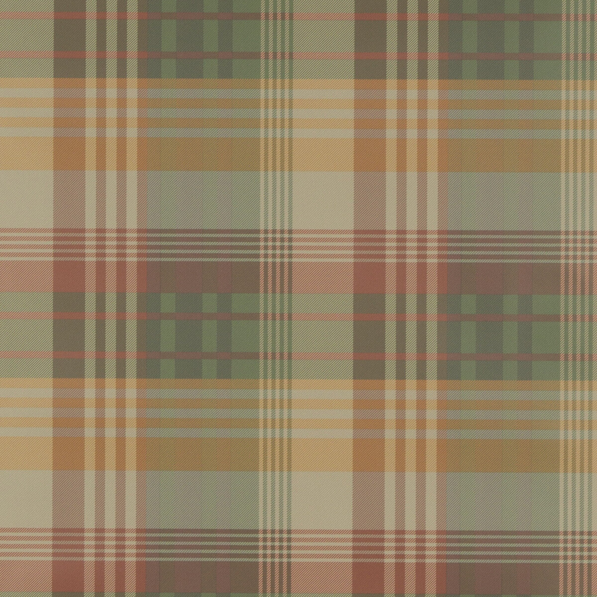 FG079-T30 MULBERRY ANCIENT TARTAN SPICE MULBERRY Wallpaper