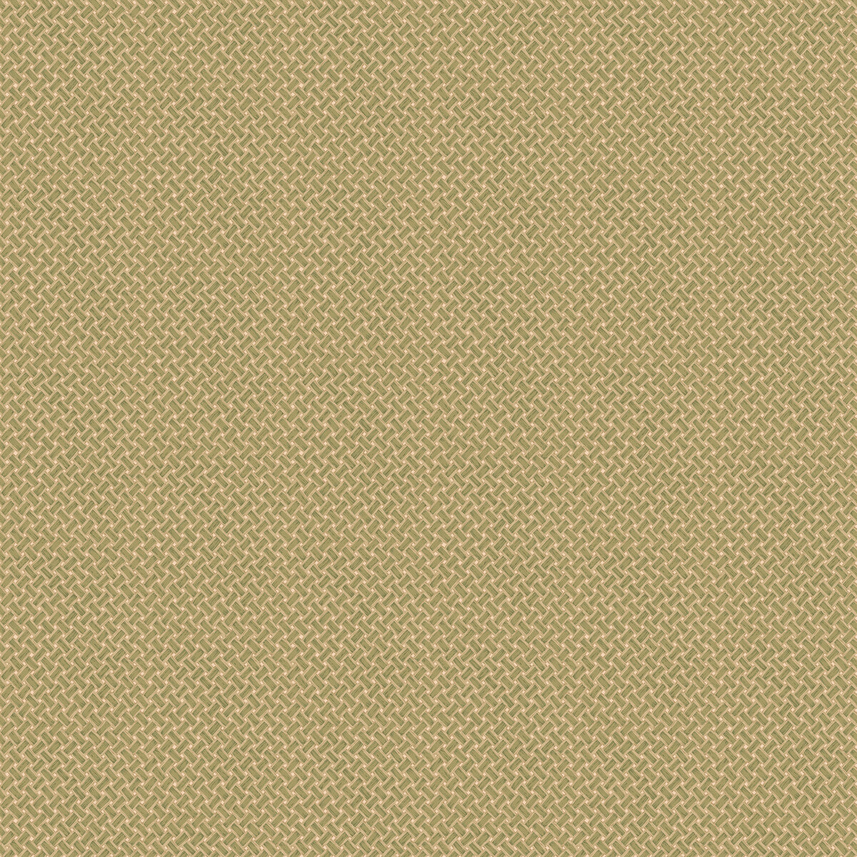 FG112-R107 BASKETWEAVE MOSS MULBERRY Wallpaper