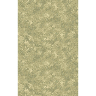 FG121-A52 MULBERRY FOREST MISTY MORNING MULBERRY Wallpaper