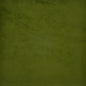 FL7537 Maxwell VELVET SOLID/TEXTURE # 537 POBLANO PV-VOL.2