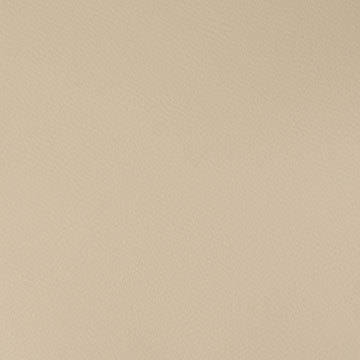 FN8123 Maxwell FAUX LEATHER # 123 BISQUE FLEXA
