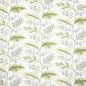 FOLI-1 STOUT FOLIAGE 1 SPRINGTIME SPRINGTIME MULTIPURPOSE