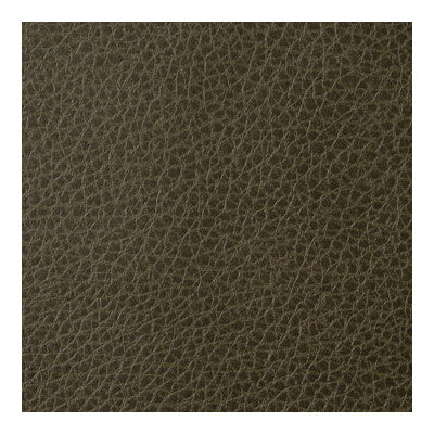 FOOTHILL-33 FOOTHILL TORTOISE KRAVET CONTRACT UPHOLSTERY