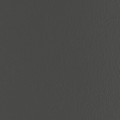 FORZA-1121 FORZA THUNDER KRAVET CONTRACT UPHOLSTERY