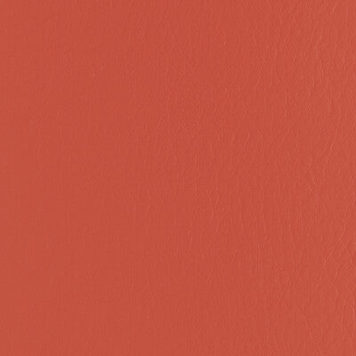 FORZA-912 FORZA PERSIMMON KRAVET CONTRACT UPHOLSTERY