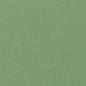 FWW7654 Thibaut Fern Fabric