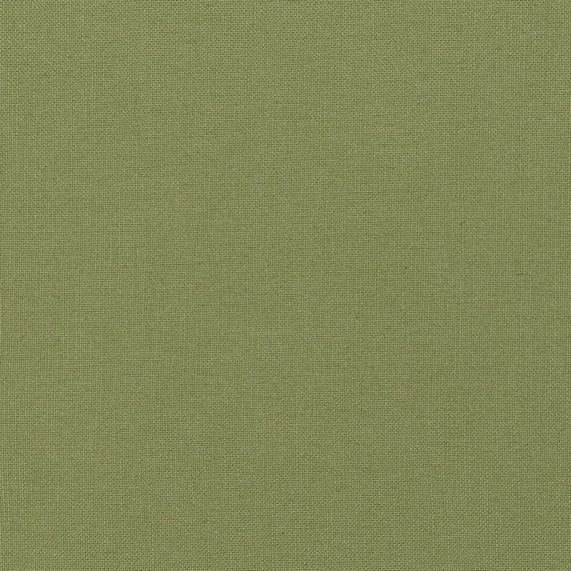 FWW7657 Thibaut Olive Fabric