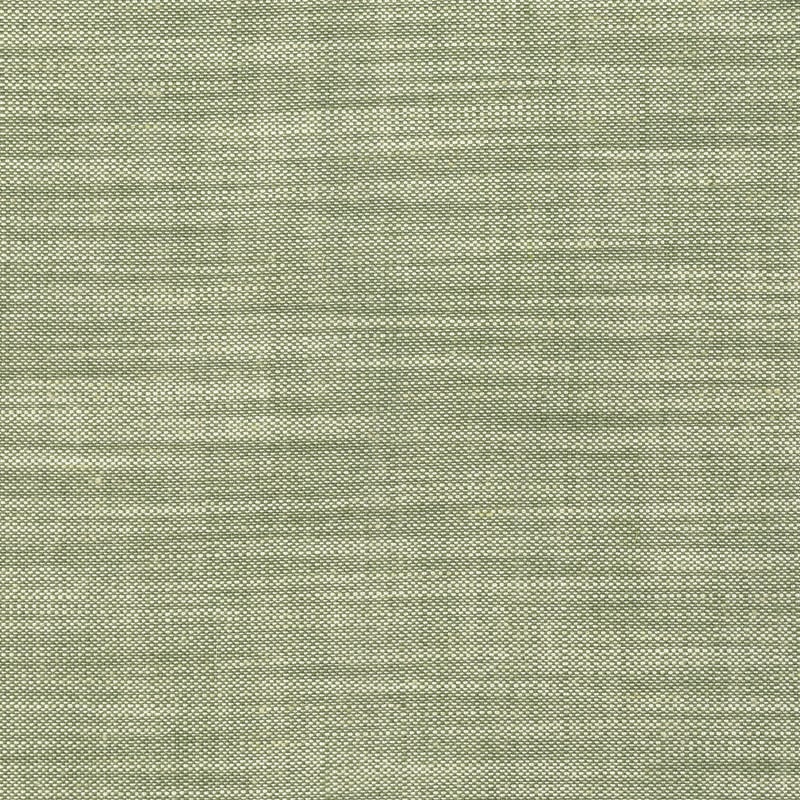 FWW7690 Thibaut Olive Fabric