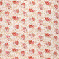 GARDENIA/D-712 ROSARIO PEACH KRAVET BASICS Fabrics Drapery Upholstery