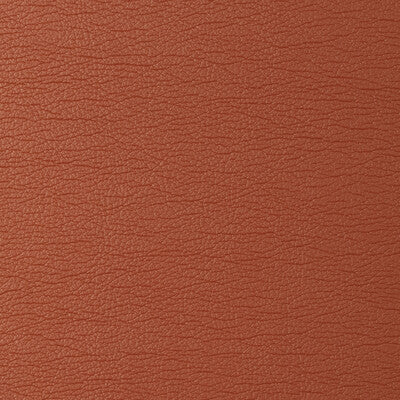 GATO-12 KRAVET DESIGN GATO-12 KRAVET DESIGN UPHOLSTERY