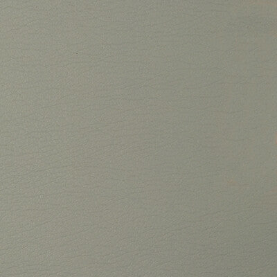 GATO-1611 KRAVET DESIGN GATO-1611 KRAVET DESIGN UPHOLSTERY