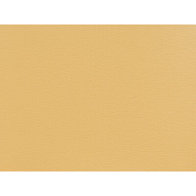 GATO-404 KRAVET DESIGN GATO-404 KRAVET DESIGN UPHOLSTERY