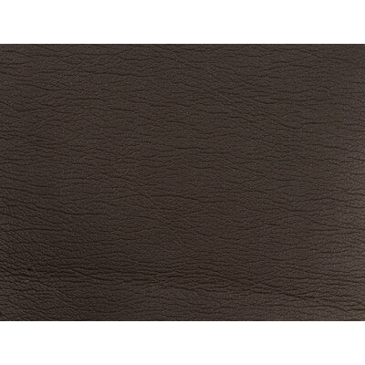 GATO-6666 KRAVET DESIGN GATO-6666 KRAVET DESIGN UPHOLSTERY