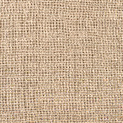 GDT5239-025 NICARAGUA TOPO GASTON Y DANIELA UPHOLSTERY