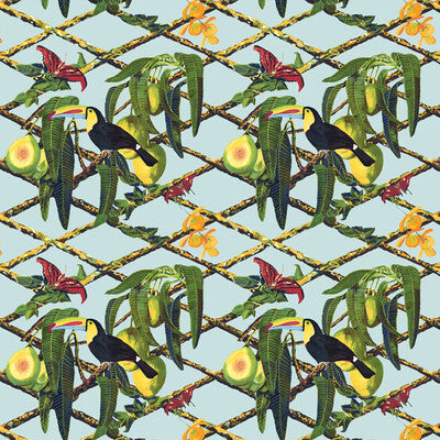 GDT5539-001 TUCAN ORIGINAL GASTON Y DANIELA Fabrics Drapery Upholstery