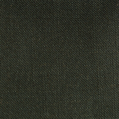 GDT5548-031 PERU BLACK GASTON Y DANIELA Fabrics Drapery Upholstery
