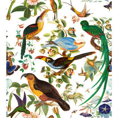 GDT5562-001 OAXACA BLANCO GASTON Y DANIELA Fabrics Drapery Upholstery