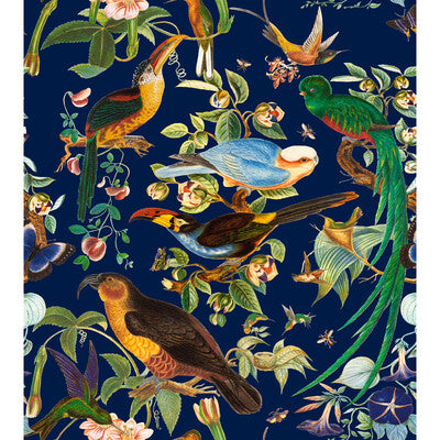 GDT5562-002 OAXACA AZUL GASTON Y DANIELA Fabrics Drapery Upholstery