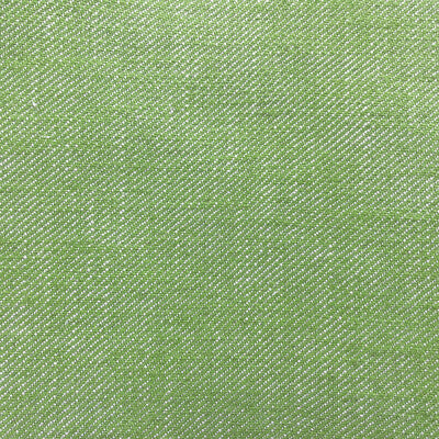 GDT5639-018 HISA VERDE CLARO GASTON Y DANIELA UPHOLSTERY