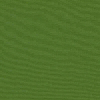 GDT5688-057 PALMA VERDE MENTA GASTON Y DANIELA UPHOLSTERY