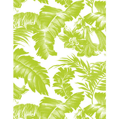 GDW5449-002 PLANTATION VERDE GASTON Y DANIELA Wallpaper