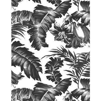 GDW5449-005 PLANTATION BLACK&WHITE GASTON Y DANIELA Wallpaper