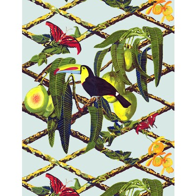 GDW5453-001 TUCAN ORIGINAL GASTON Y DANIELA Wallpaper