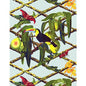 GDW5453-001 TUCAN ORIGINAL GASTON Y DANIELA Wallpaper