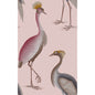 GDW5773-006 GARZAS ROSA GASTON Y DANIELA Wallpaper