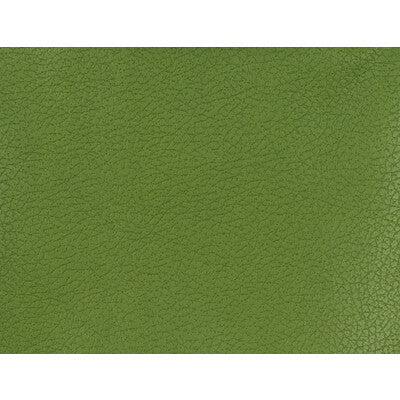 GENSLAR-333 KRAVET DESIGN GENSLAR-333 KRAVET DESIGN UPHOLSTERY