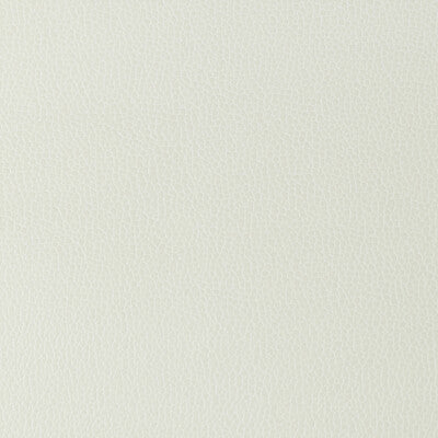 GILLIAN-101 KRAVET DESIGN GILLIAN-101 KRAVET DESIGN UPHOLSTERY