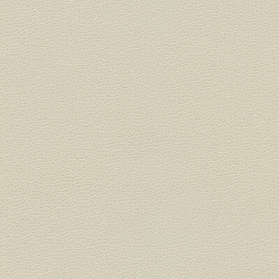 GILLIAN-1116 KRAVET DESIGN GILLIAN-1116 KRAVET DESIGN UPHOLSTERY