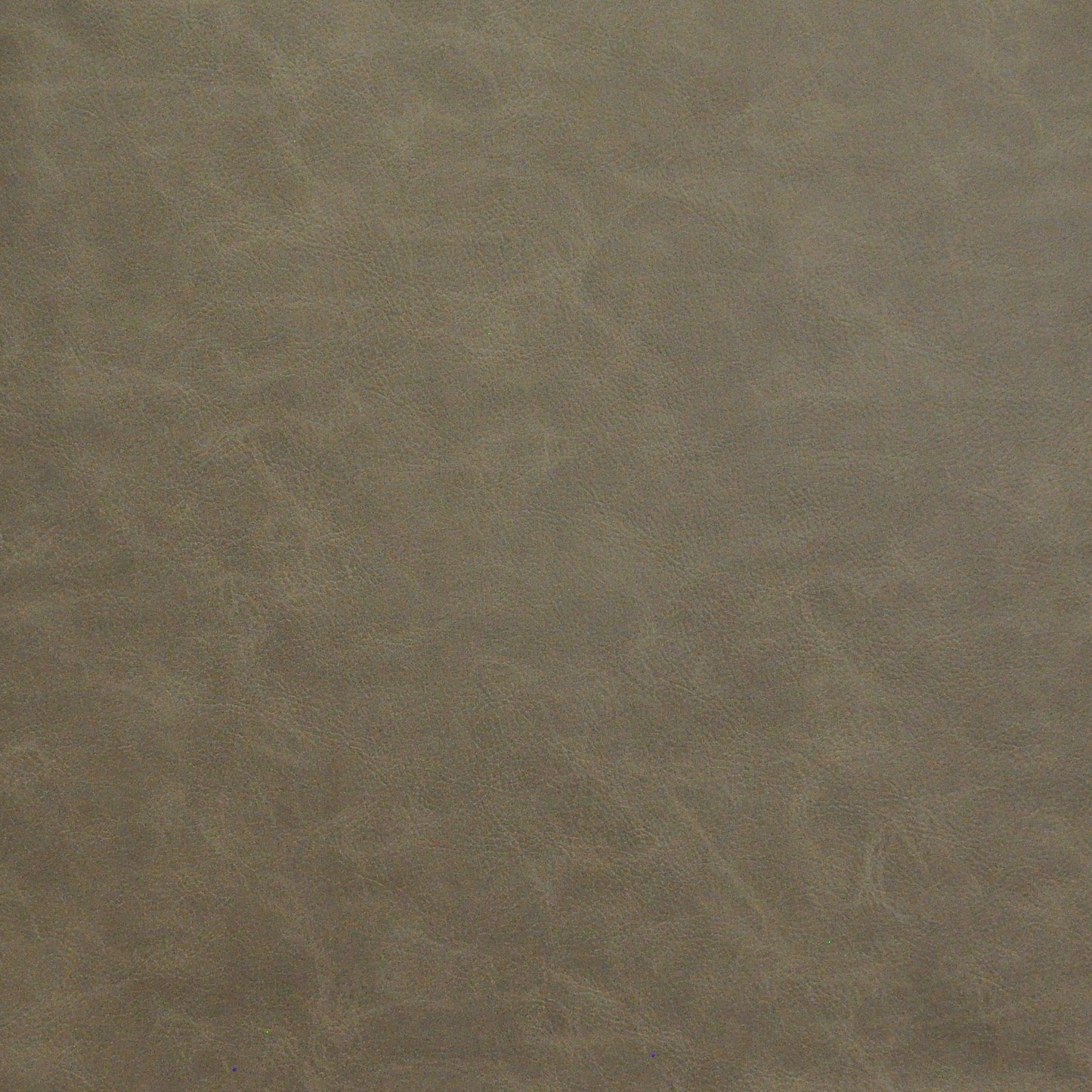 GJ9742 Maxwell FAUX LEATHER # 742 BRANCH EASYRIDERVIII