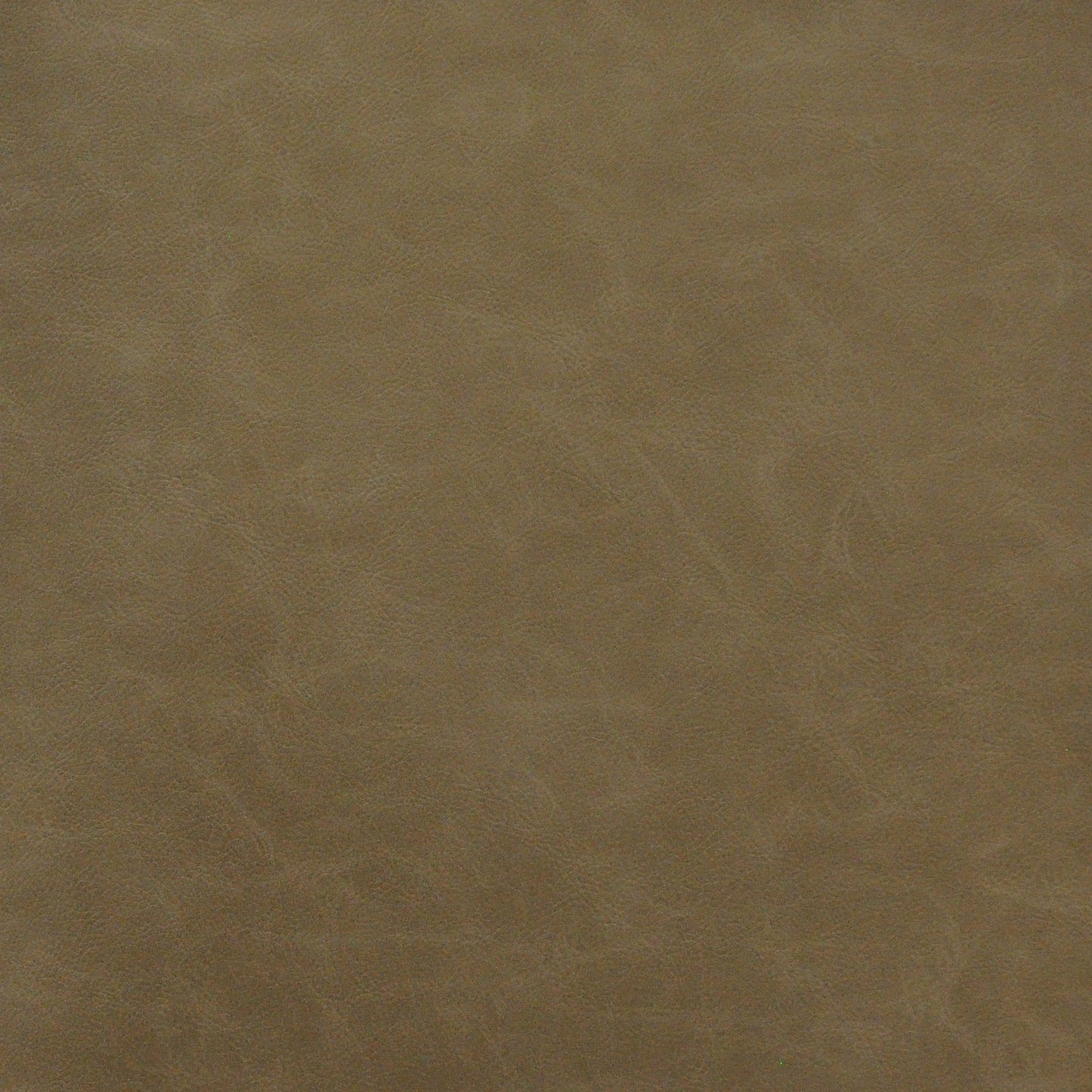 GJ9770 Maxwell FAUX LEATHER # 770 COYOTE EASYRIDERVIII