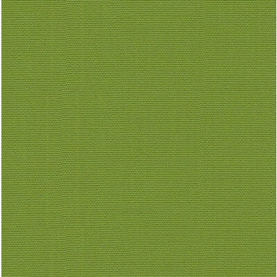 GR-54011-0000-0 CANVAS GINKGO KRAVET DESIGN UPHOLSTERY
