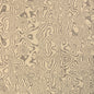 GWF-3834-11 ATLAS STONE LEE JOFA MODERN Fabric