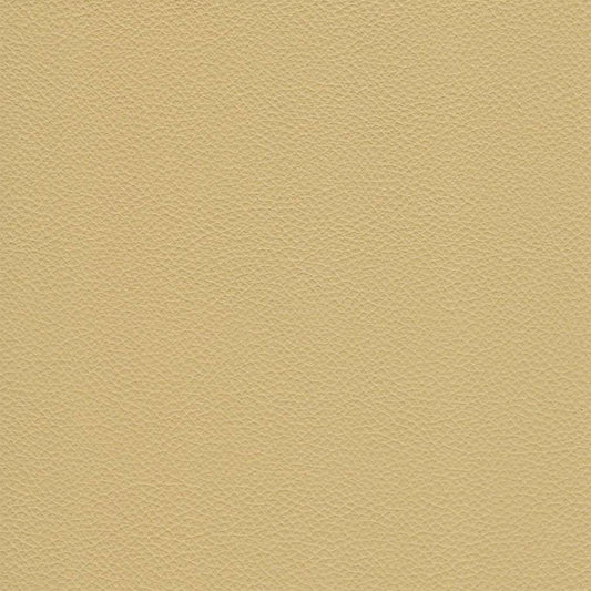 Gilbert Ecru Matte,Plain Beige & Taupe Charlotte Fabrics Genuine Leather