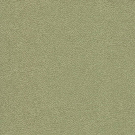 Gilbert Fern Matte,Plain Green Charlotte Fabrics Genuine Leather