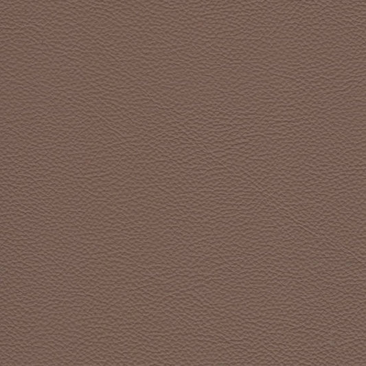 Gilbert Oak Matte,Plain Beige & Taupe Charlotte Fabrics Genuine Leather