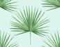 HG10404 Harry & Grace Harry & Grace Peel and Stick Wallpaper Pacific Palm Celeste & Jade