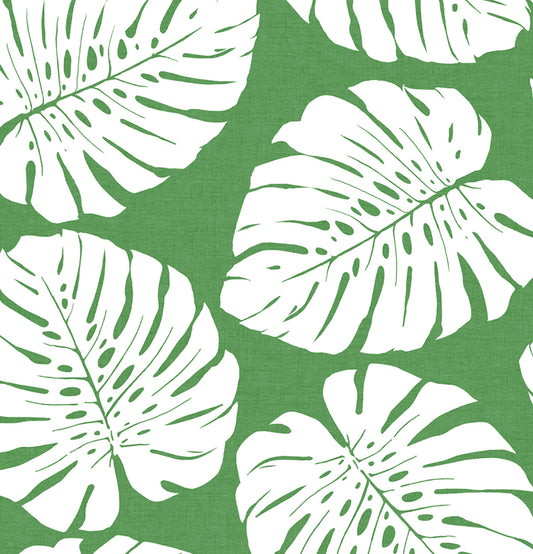 HG10504 Harry & Grace Harry & Grace Peel and Stick Wallpaper Monstera Leaf Green