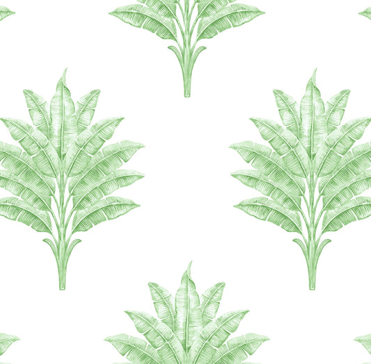 HG10604 Harry & Grace Harry & Grace Peel and Stick Wallpaper Sea Breeze Palm Greenery
